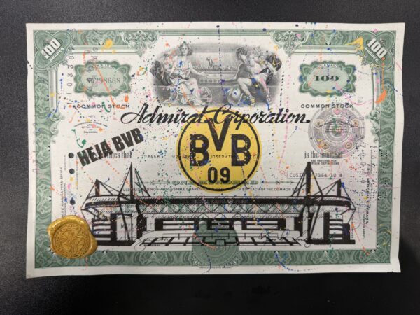 Borussia Dortmund Grün